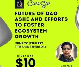 WAX Space: Future of DAO ASHE and efforts to foster echosystem growth - April 11st